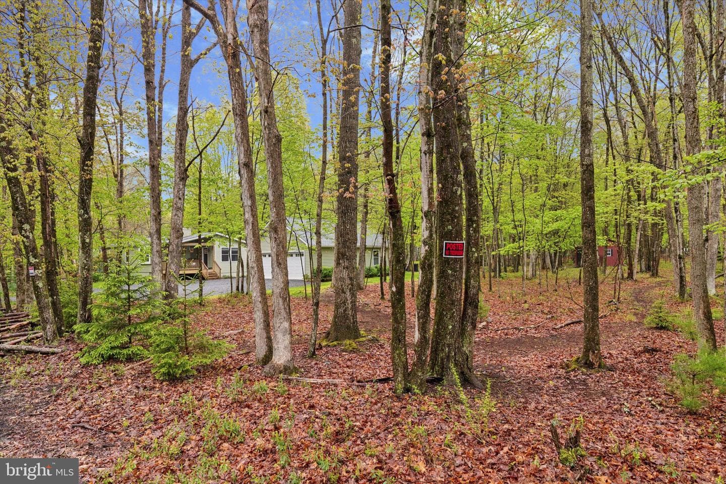 16 Spencer Lane photo 5