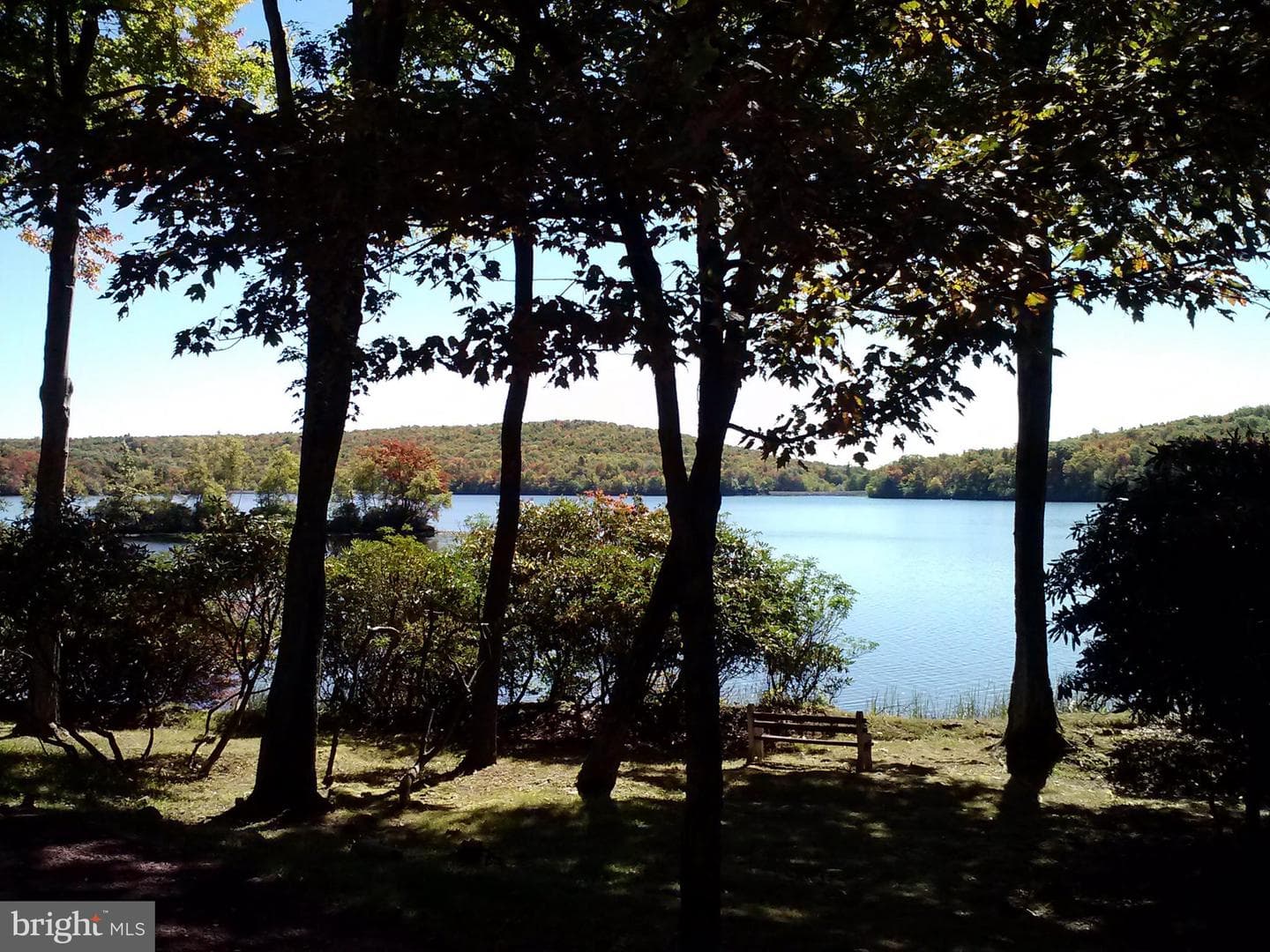63 Midlake photo 48