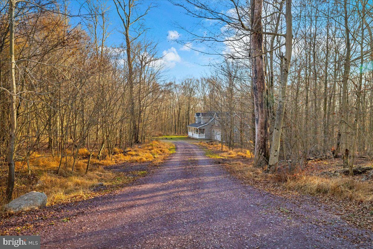 91 Spring Hill Road photo 8
