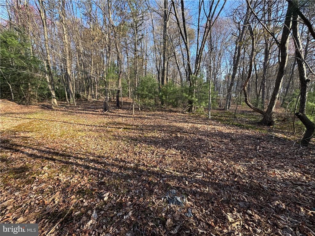 1641 Hemlock Drive photo 36