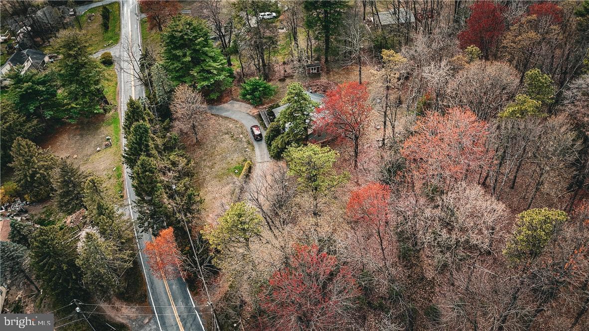 1641 Hemlock Drive photo 4