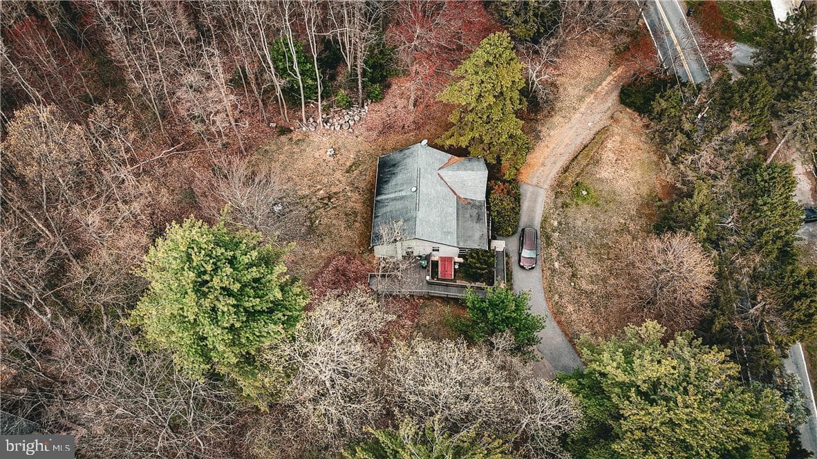 1641 Hemlock Drive photo 5