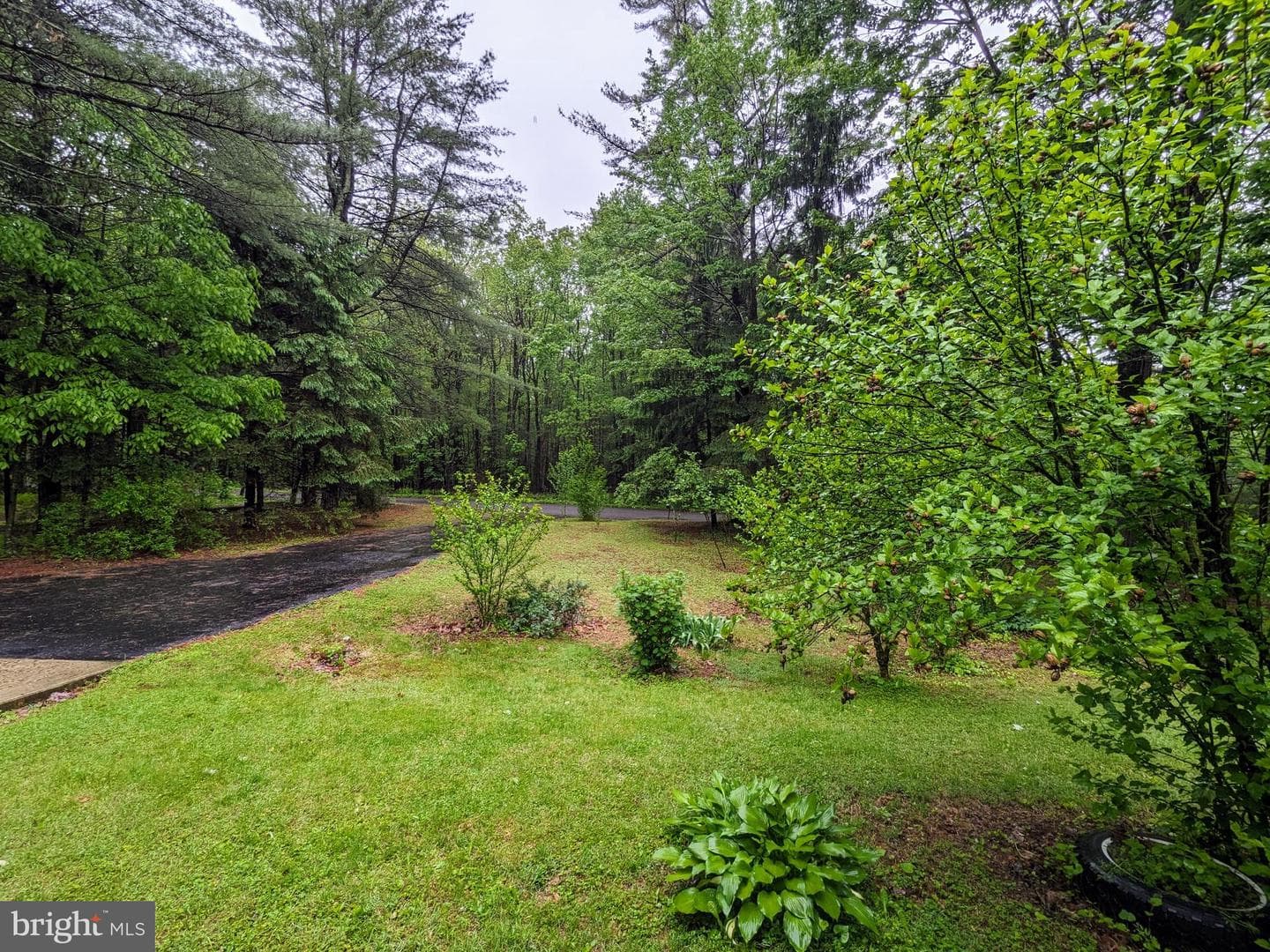 180 Arbor Road photo 6