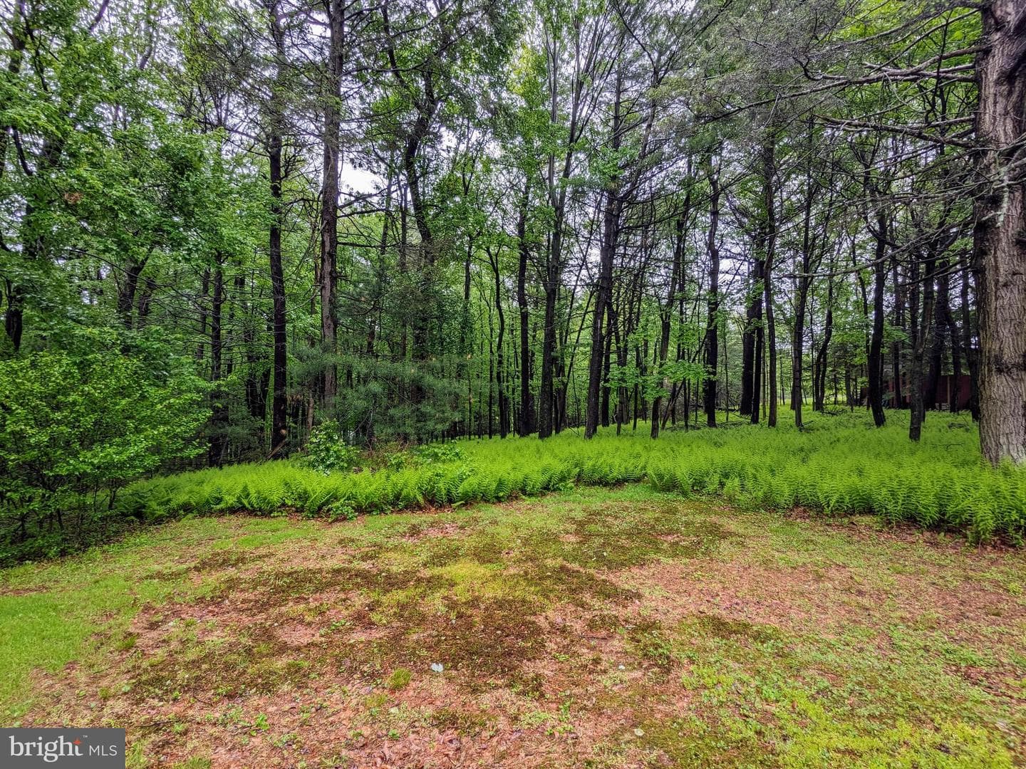 180 Arbor Road photo 8