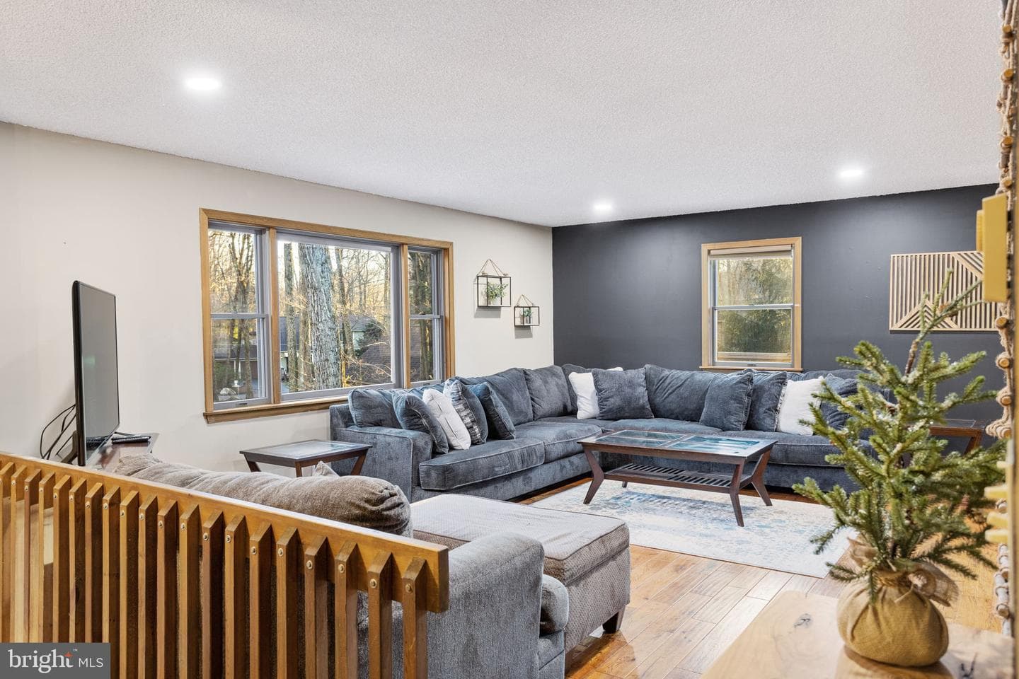 49 Forest Drive photo 2