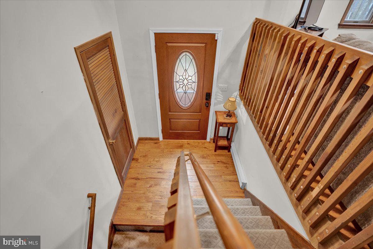 49 Forest Drive photo 23