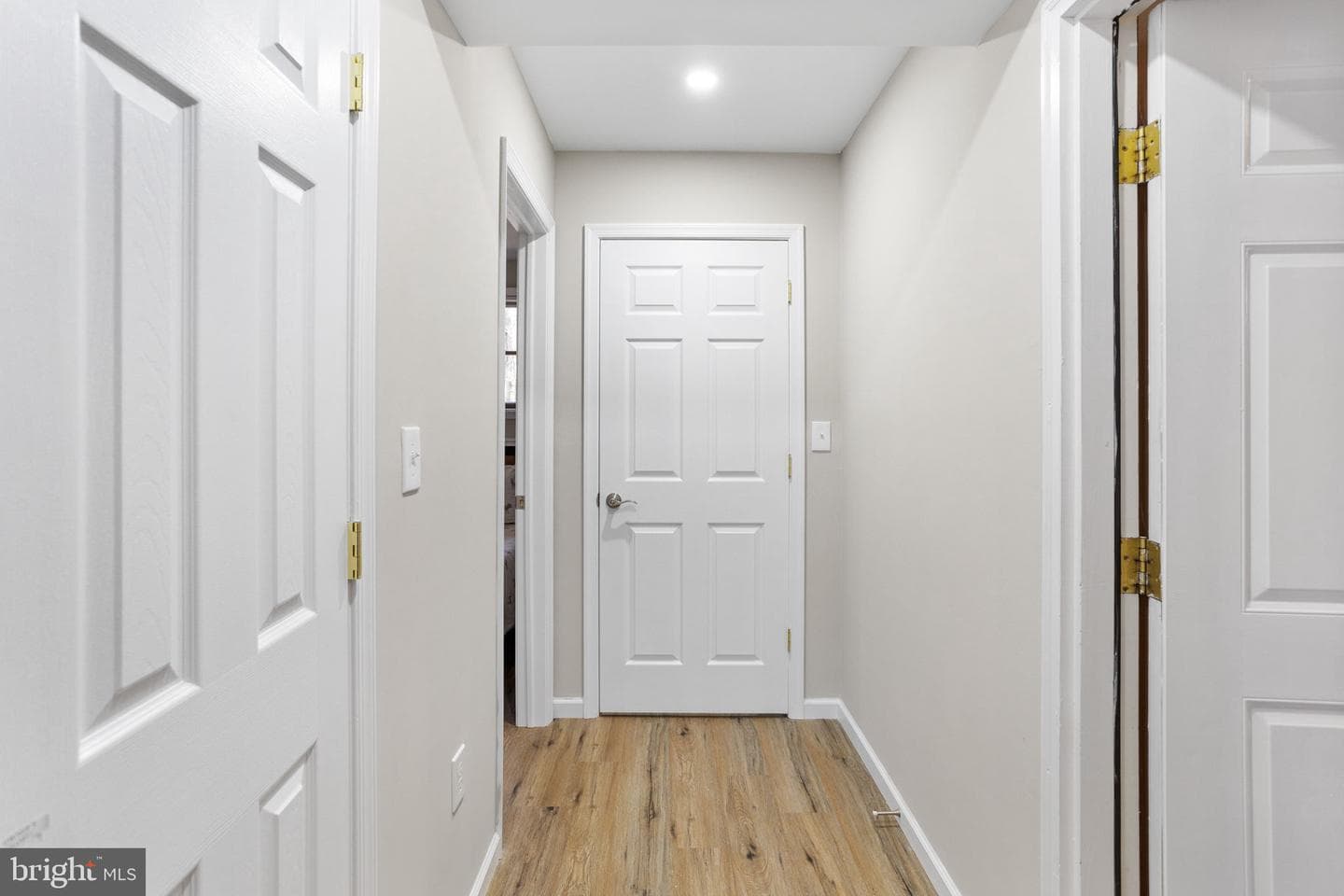 49 Forest Drive photo 41