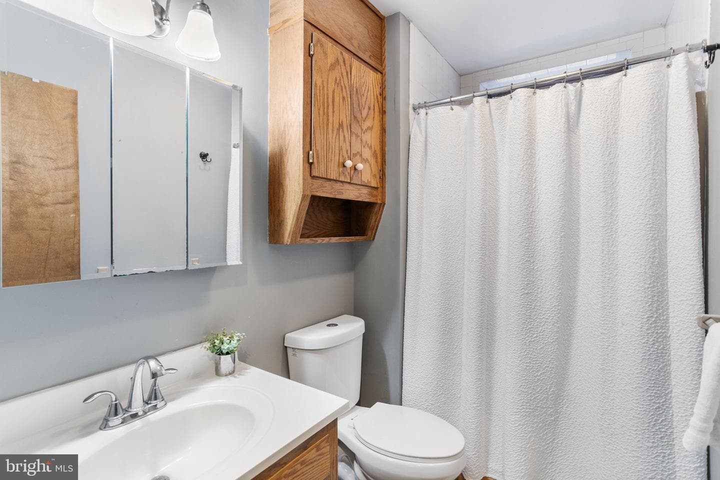 49 Forest Drive photo 56