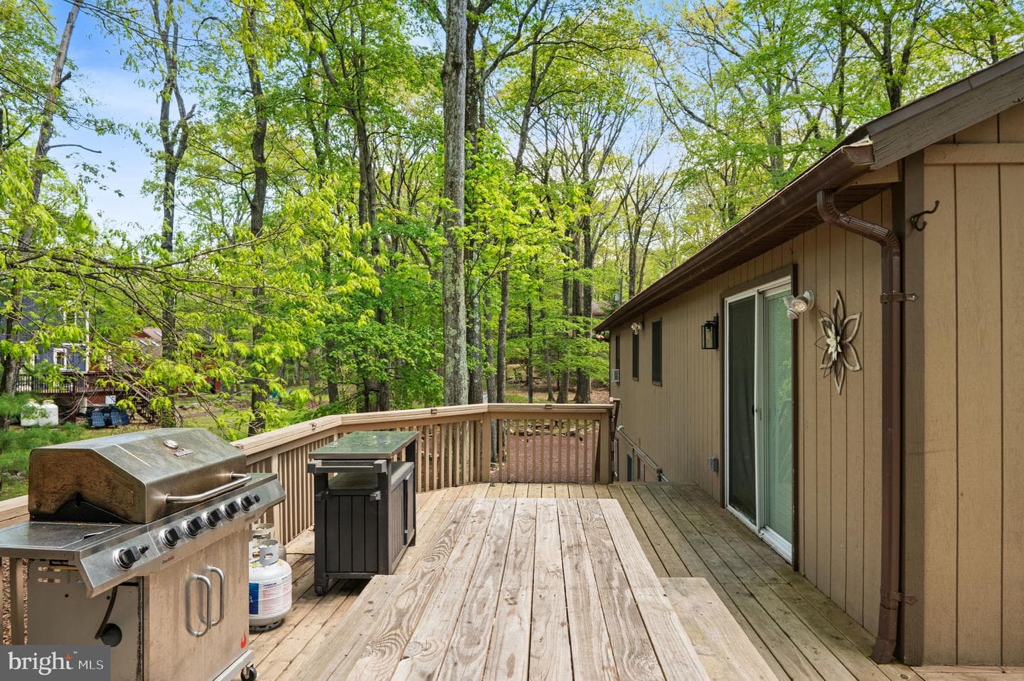 49 Forest Drive photo 77