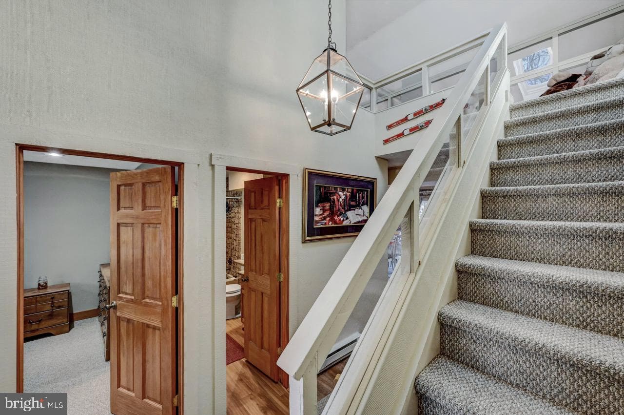 390 Snow Ridge Circle photo 48