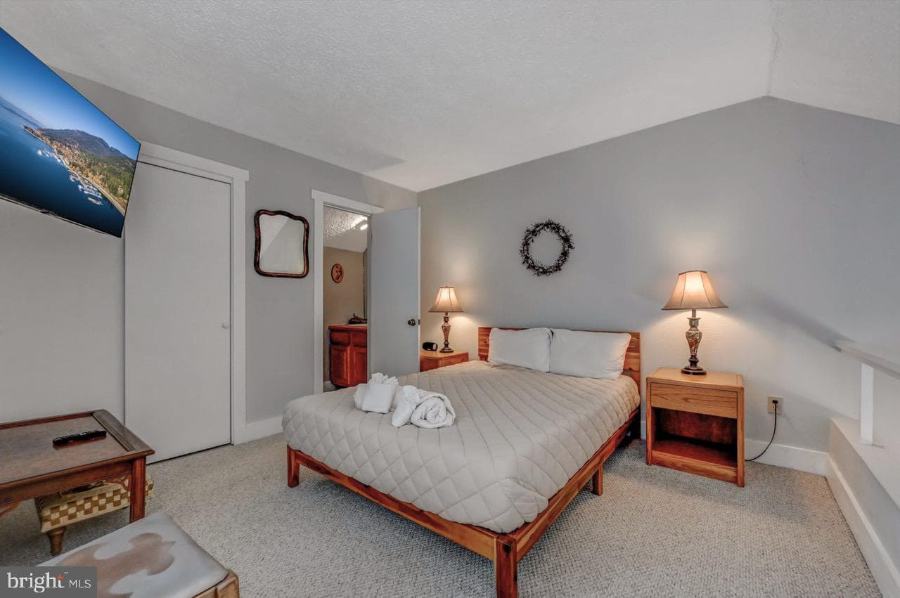 116 Snow Ridge Circle photo 45