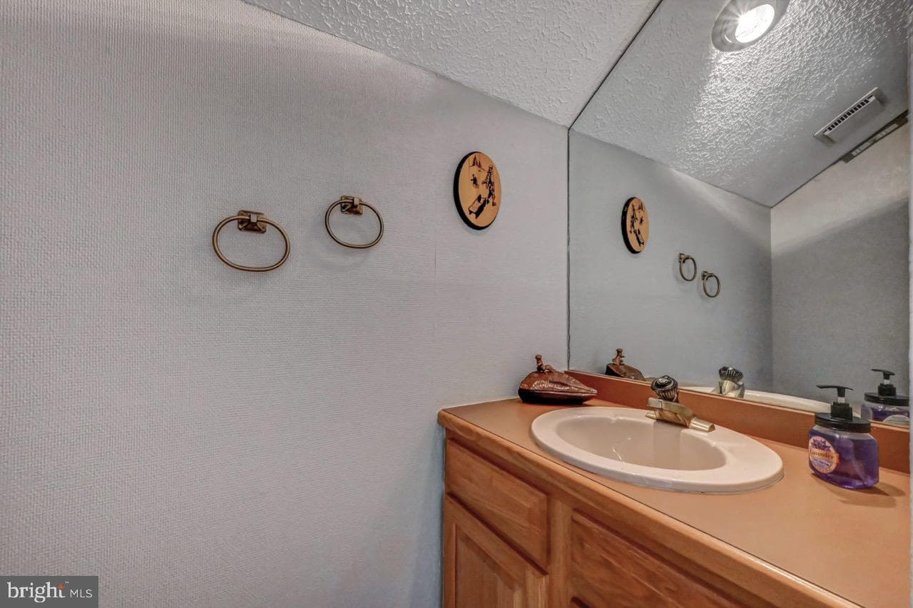 116 Snow Ridge Circle photo 46