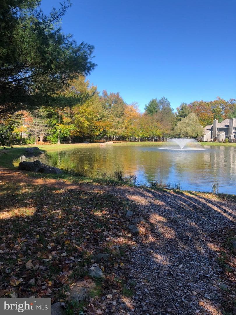 116 Snow Ridge Circle photo 62