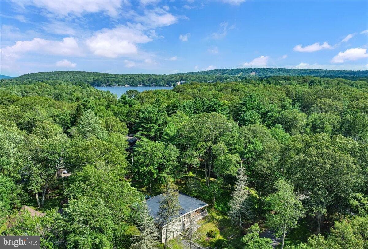 72 Forest Drive photo 42
