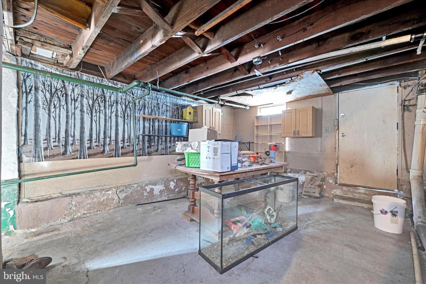 601 E Bertsch Street photo 26