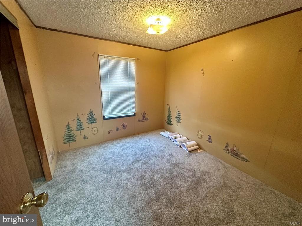 91 Cheyenne Lane photo 15