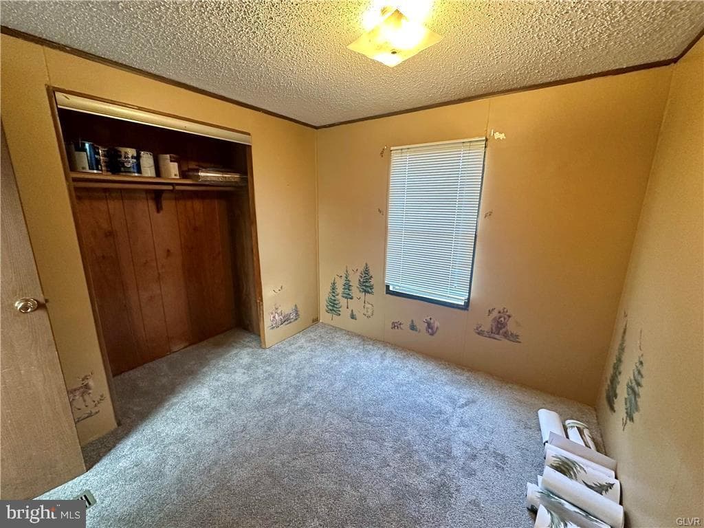 91 Cheyenne Lane photo 16
