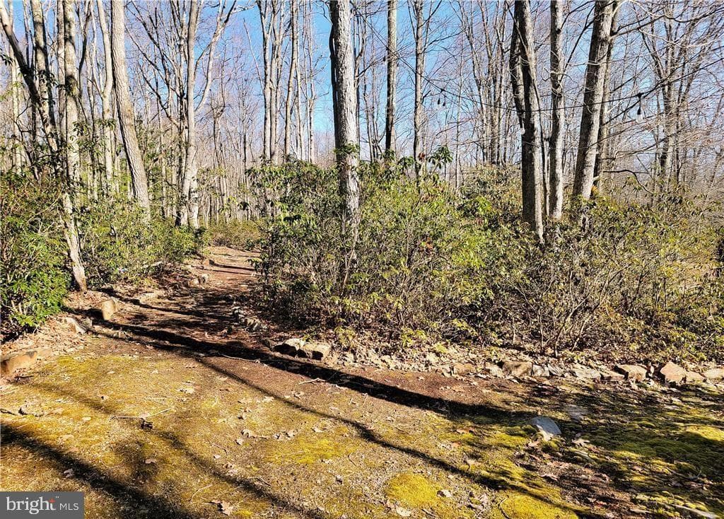 67 Forest Lake Drive photo 44