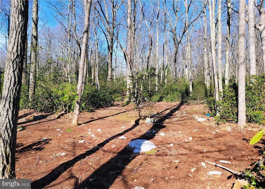 67 Forest Lake Drive photo 45