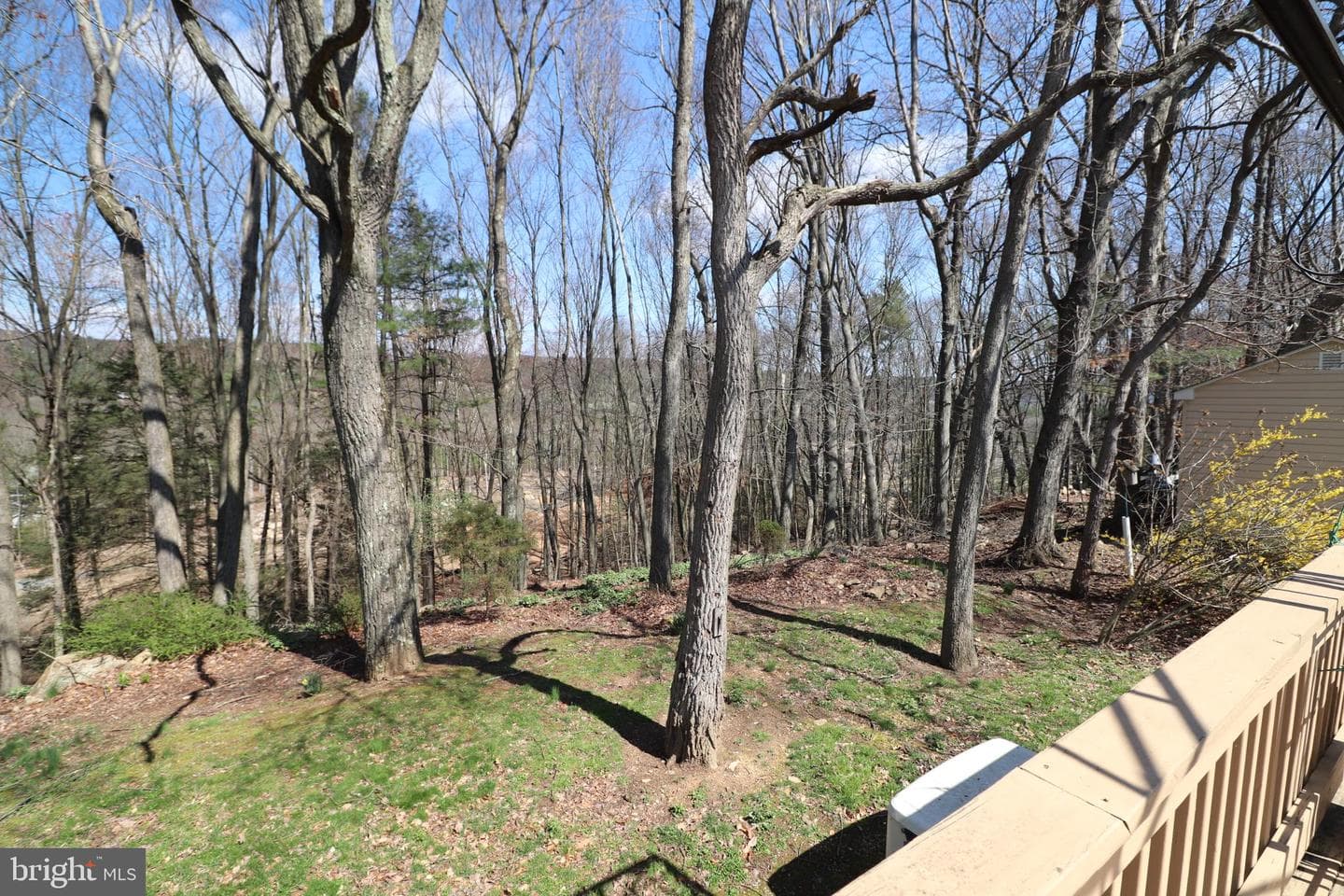 124 Ashley Lane photo 36