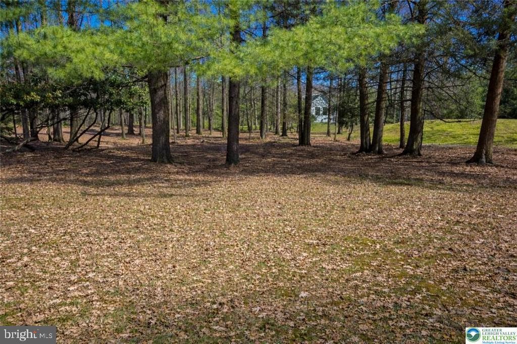 105 White Oak Drive photo 41
