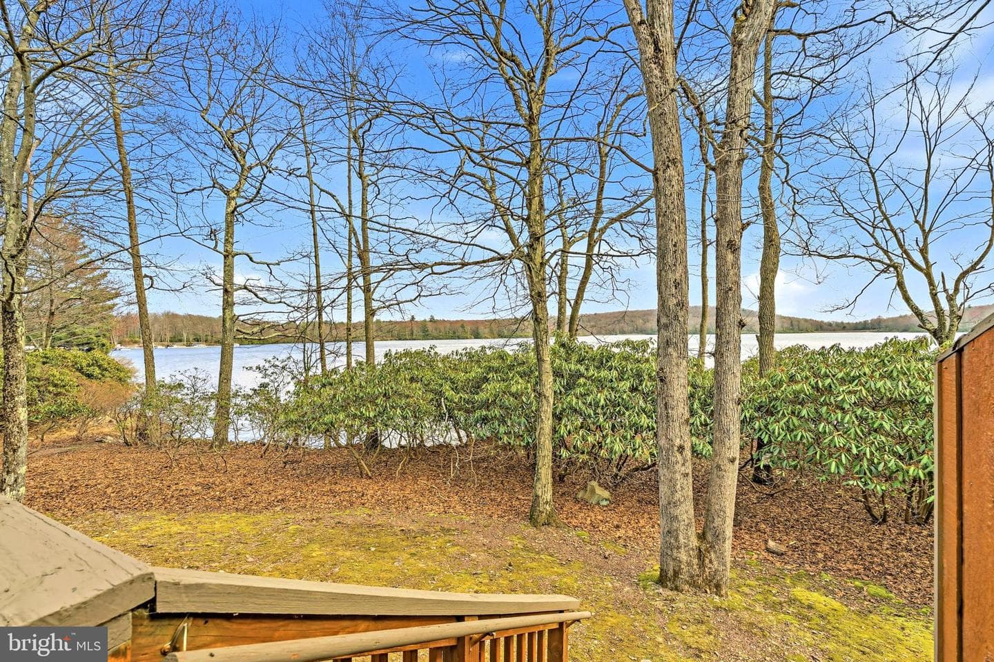 79 Dove Drive photo 25