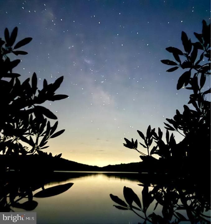 79 Dove Drive photo 27