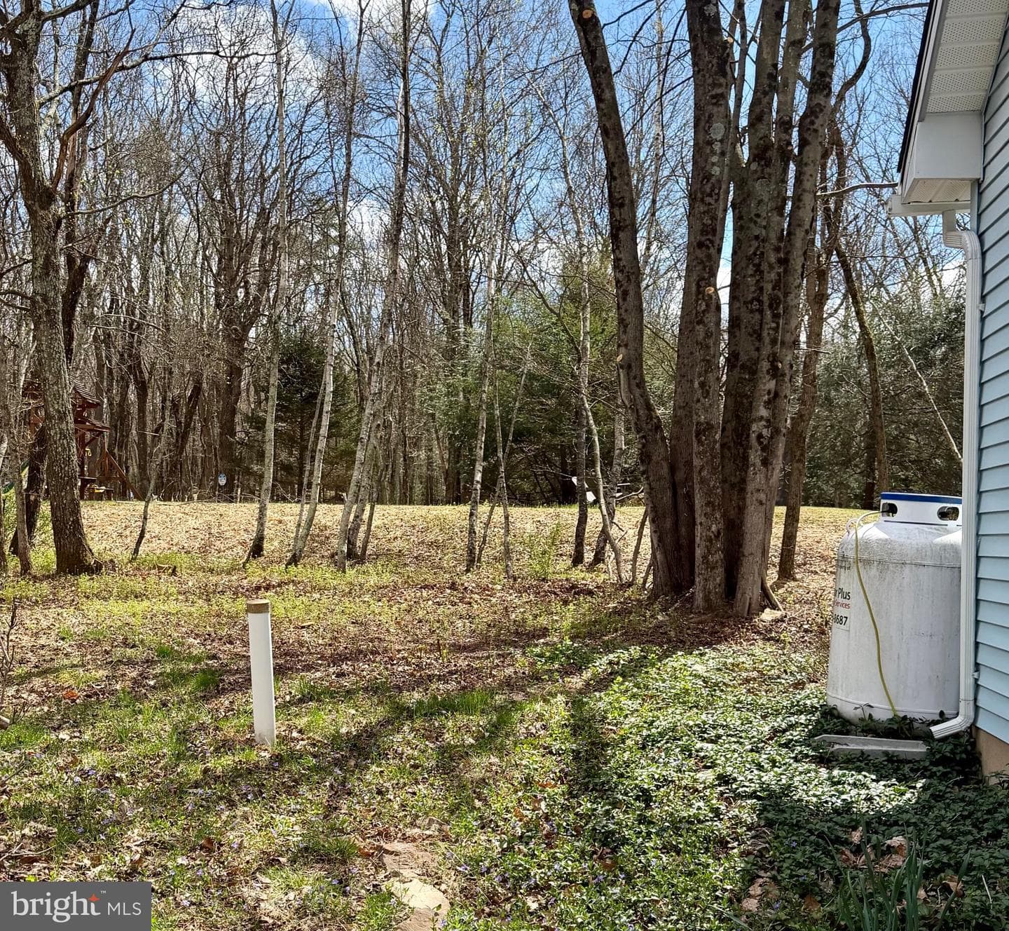 59 White Birch Drive photo 36