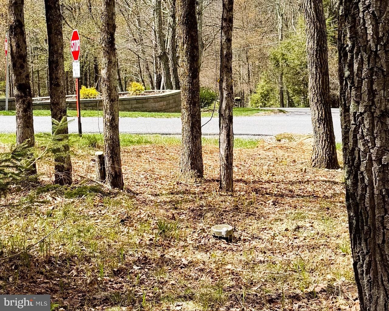 59 White Birch Drive photo 37