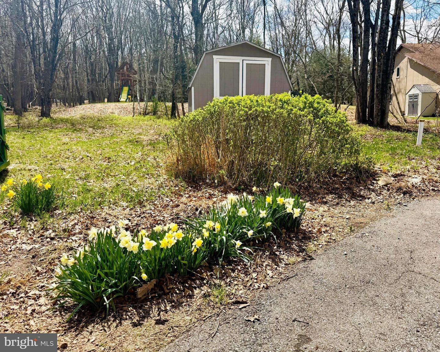 59 White Birch Drive photo 43