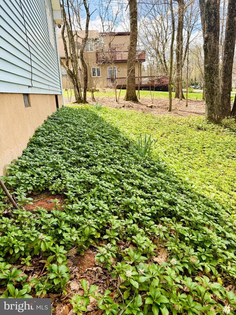 59 White Birch Drive photo 44