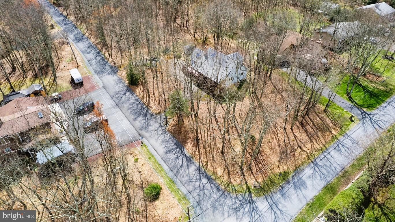 59 White Birch Drive photo 46