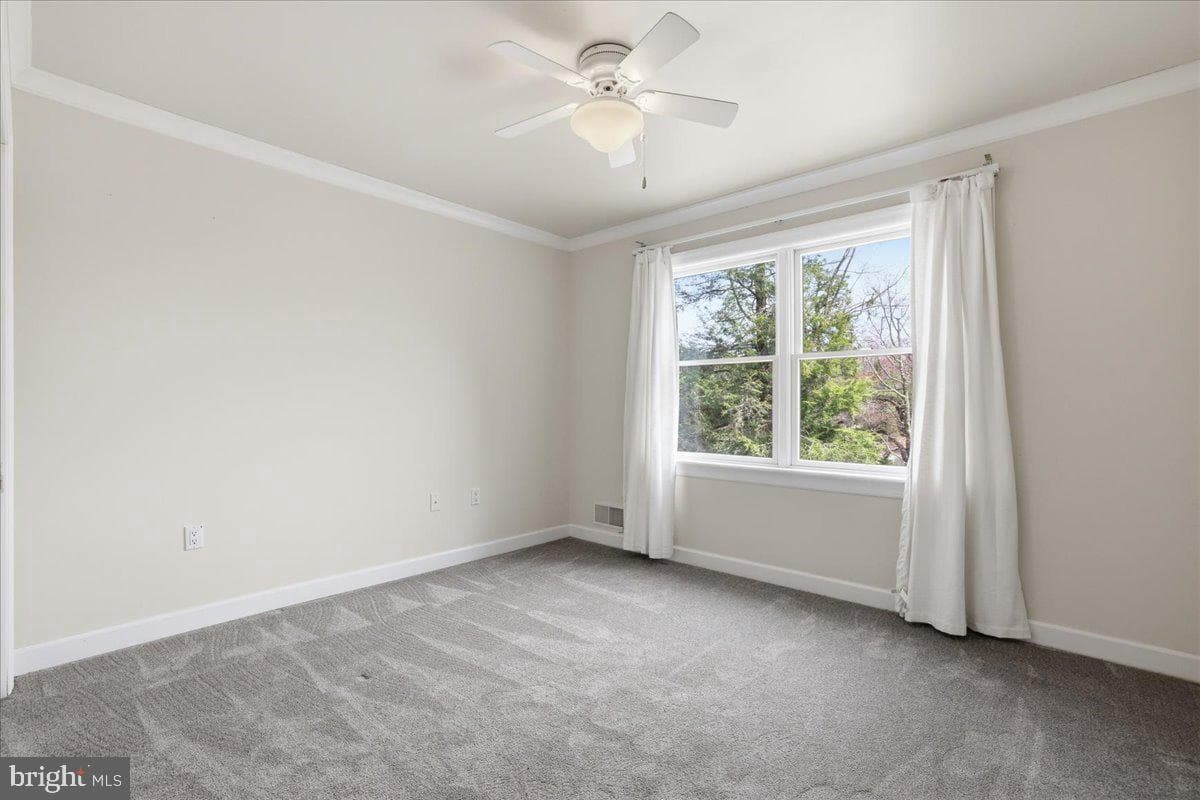 109 Lake Drive photo 19