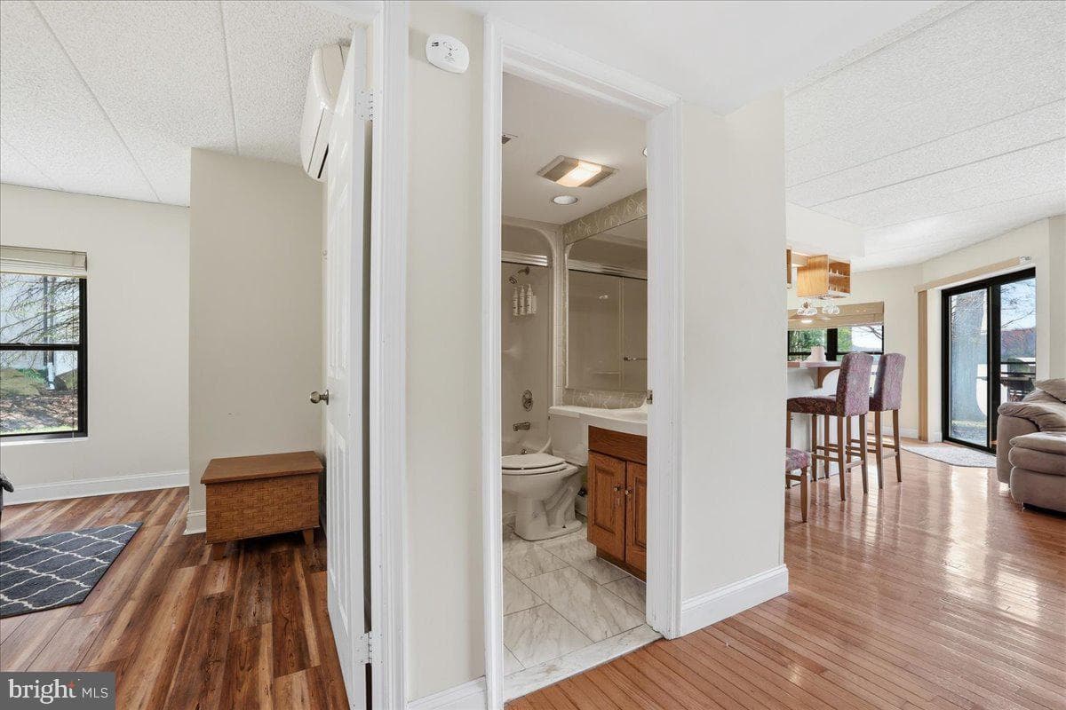 45 Midlake #101g photo 19
