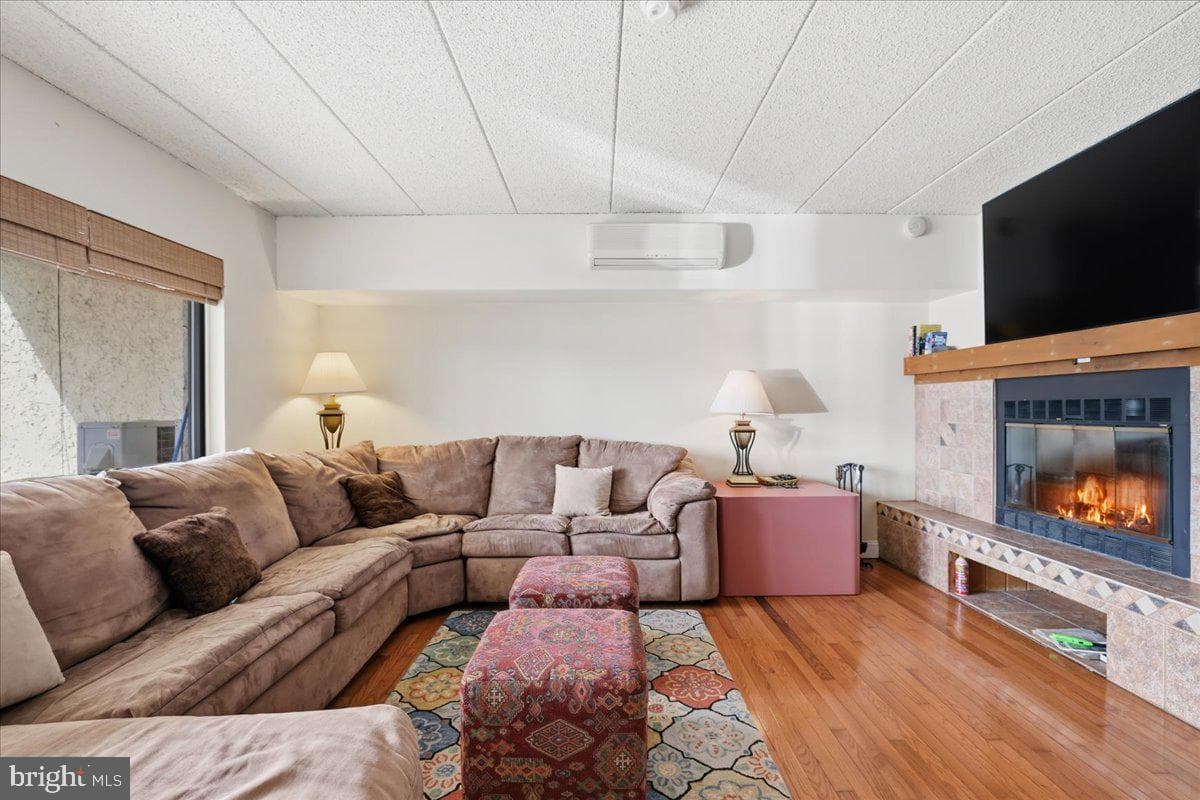 45 Midlake #101g photo 5