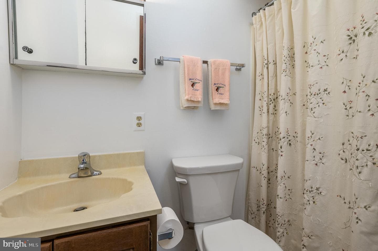 355 Bear Creek Lake Drive photo 18