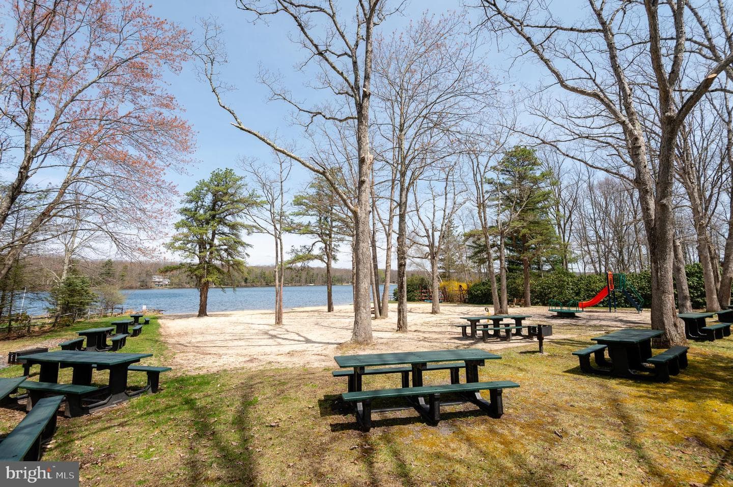 355 Bear Creek Lake Drive photo 41