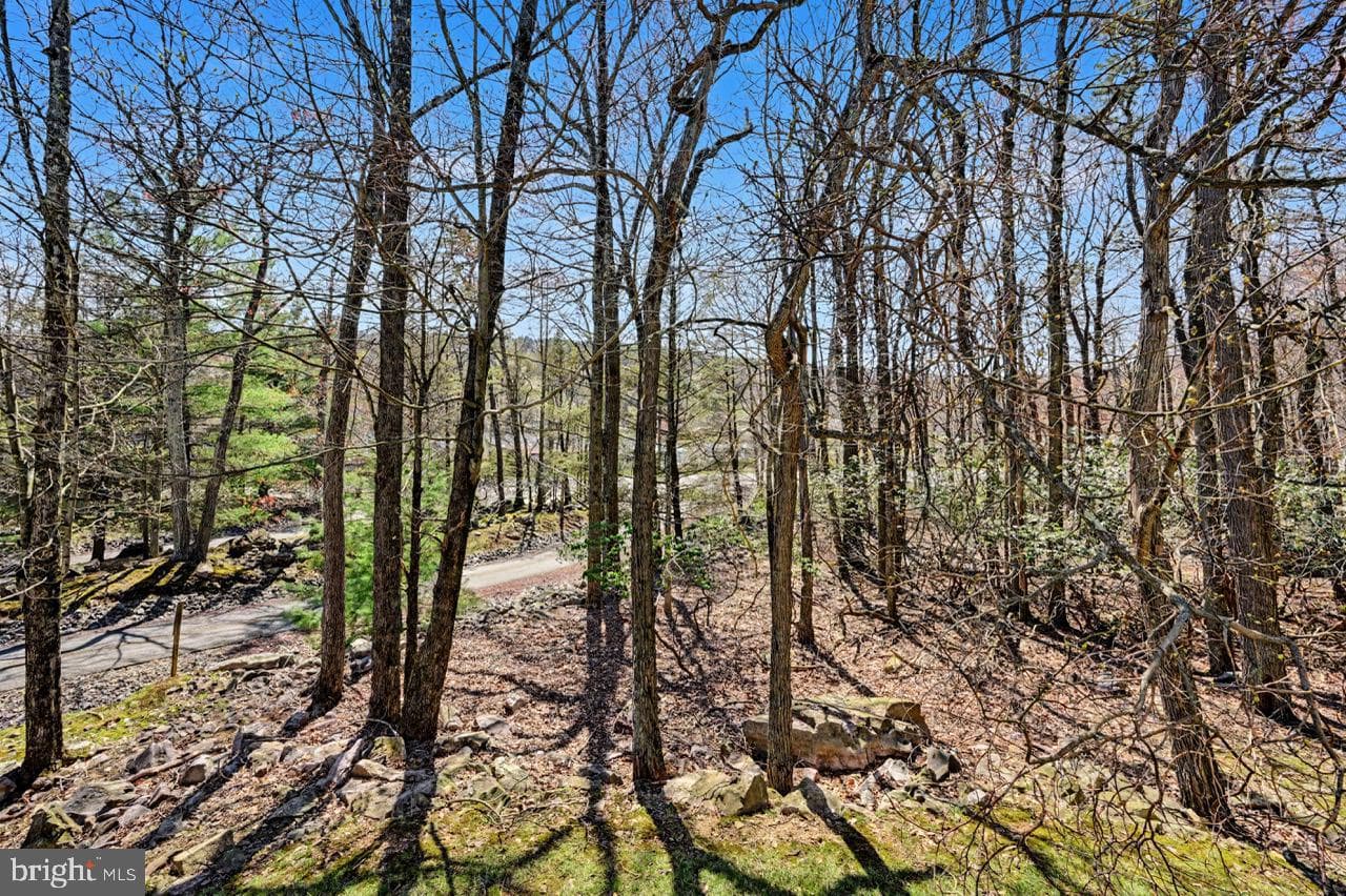 5 Beachwood Court photo 39