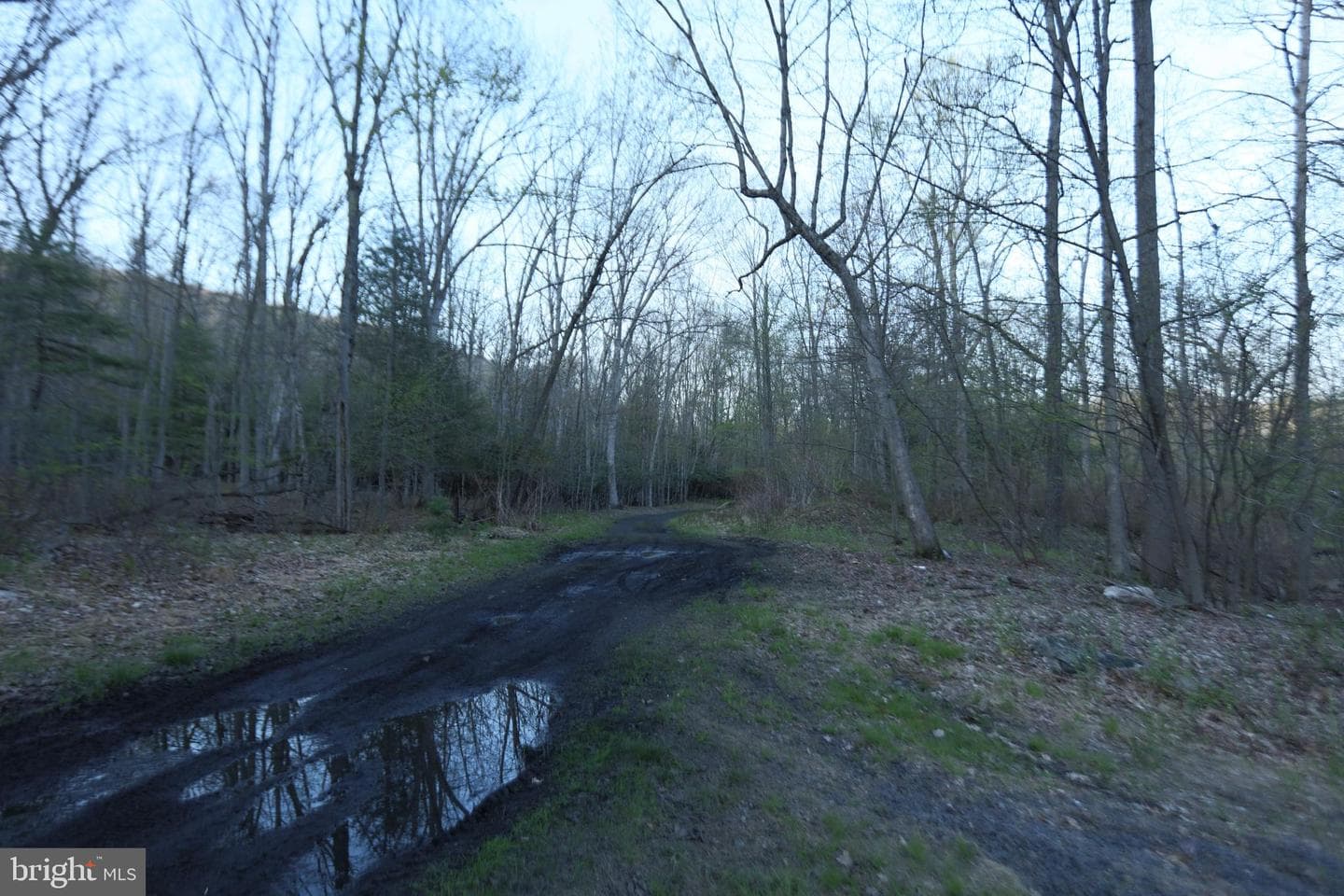 5444 Quakake Rd photo 12