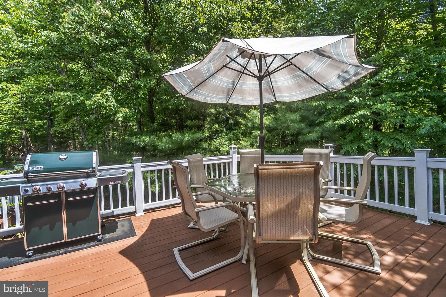 55 Molenda Circle photo 27