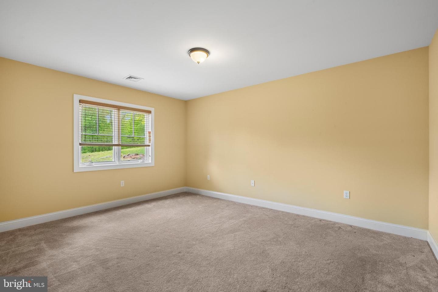 54 Bluestone Court photo 43