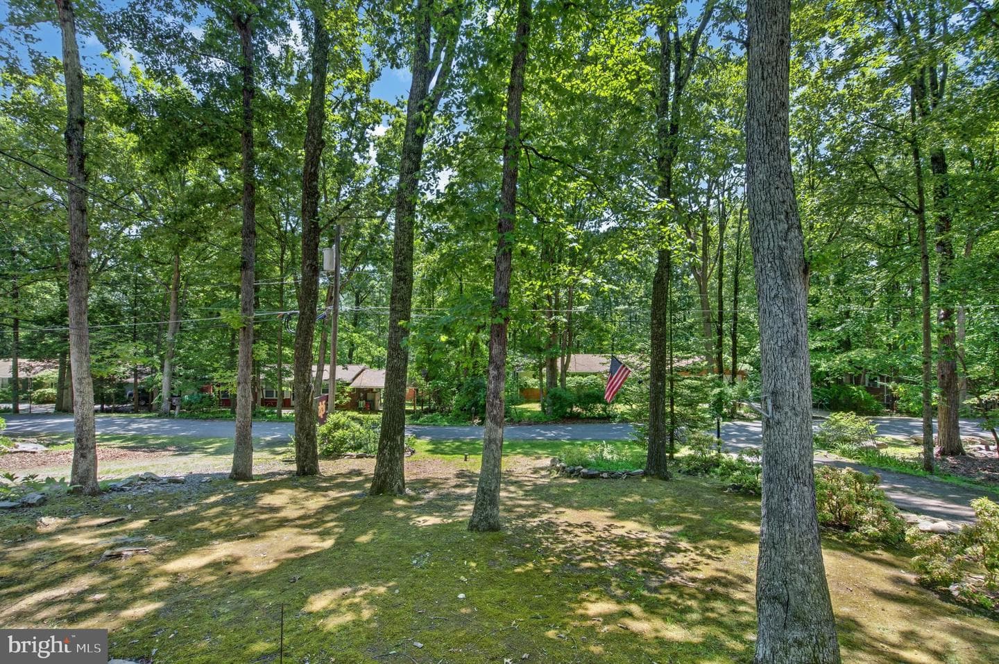 18 White Oak Road photo 20