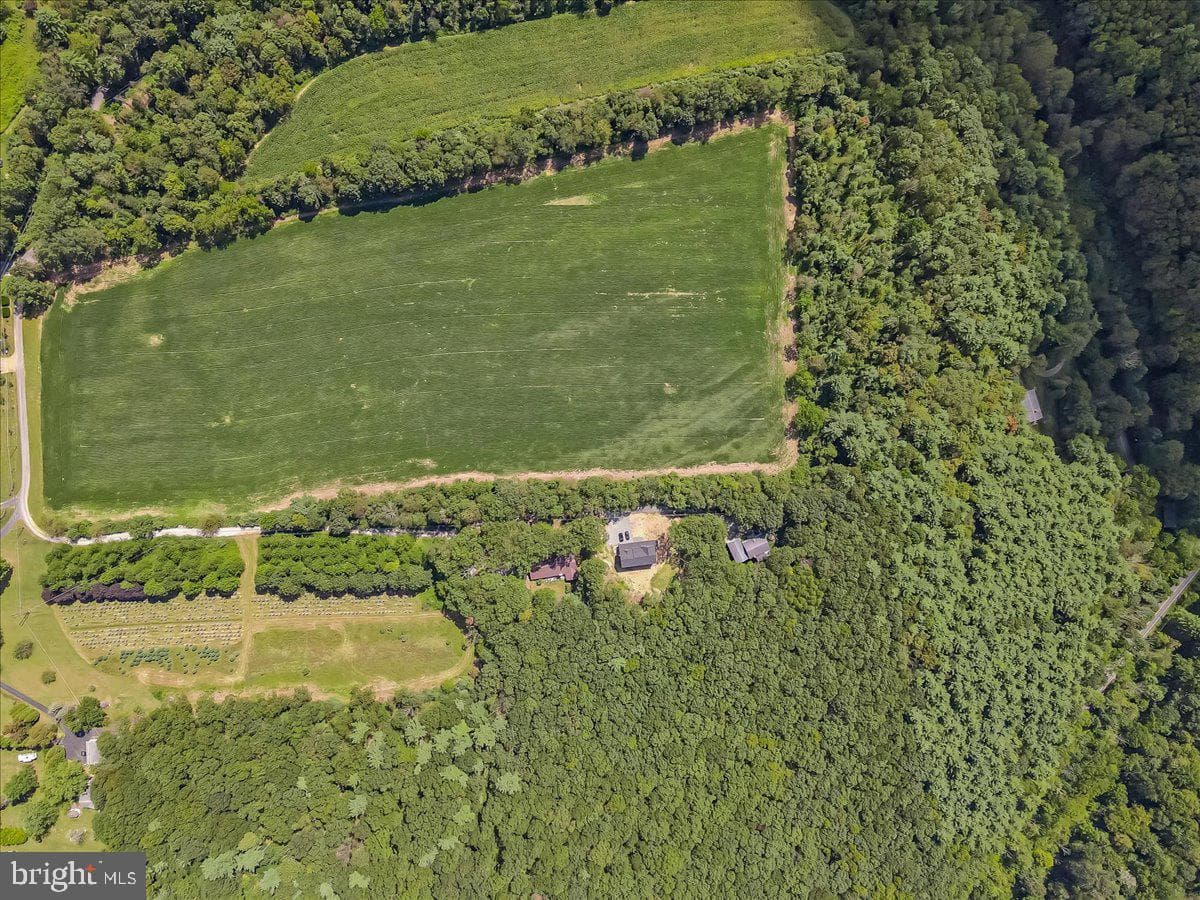 141 Church Hill Road photo 69