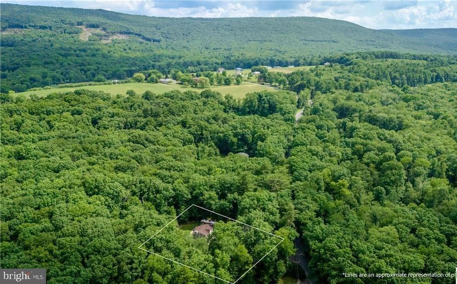 341 Stone Mountain Road photo 50