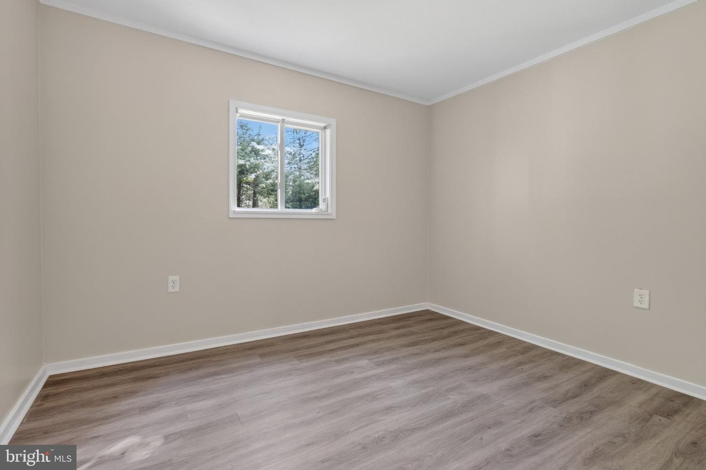 113 Tanglewood Drive photo 23