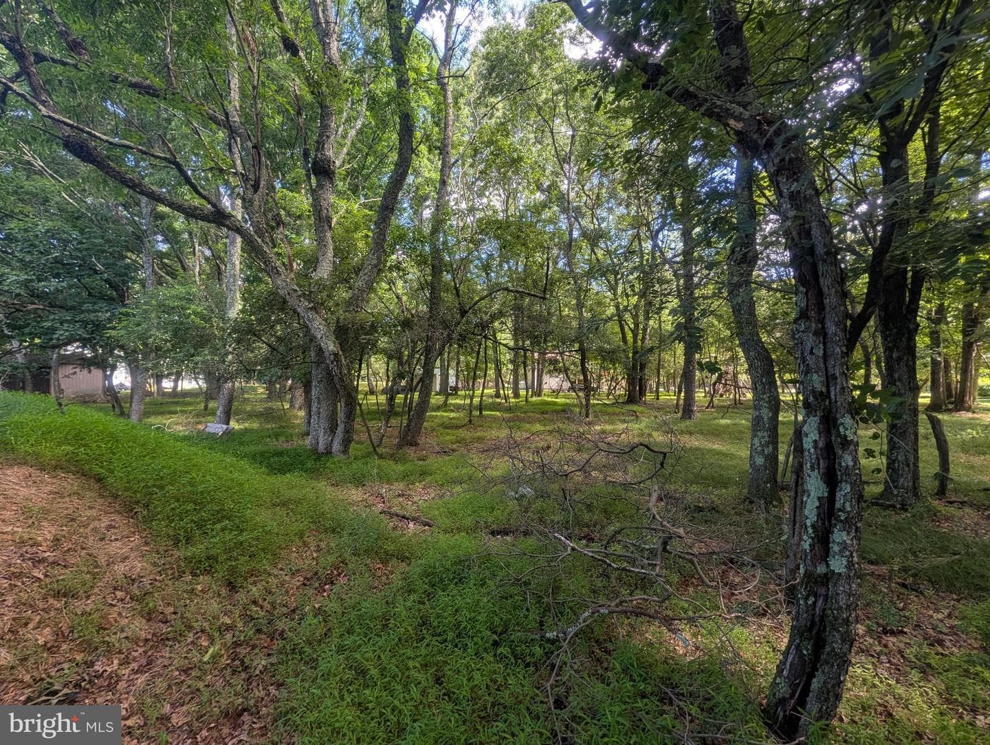 11 Wylie Circle photo 5