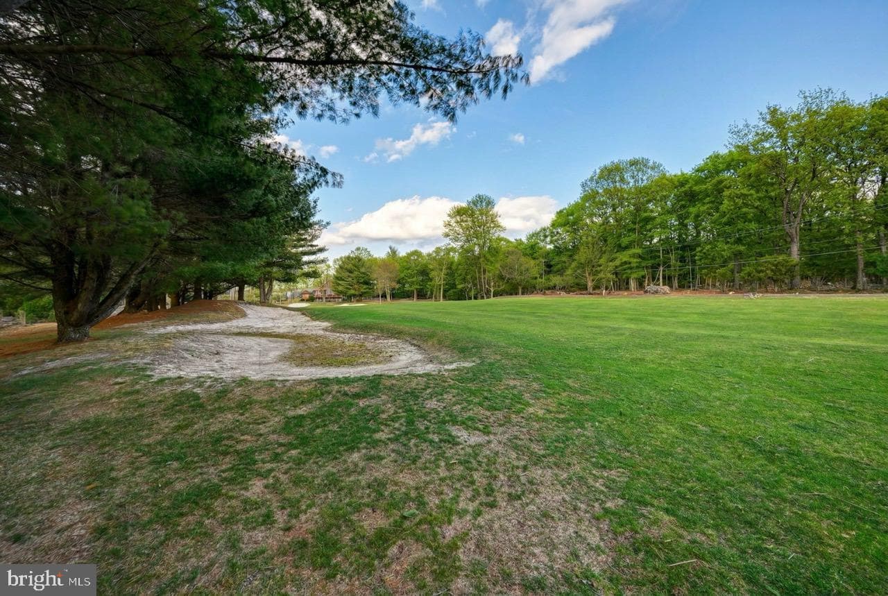 96 Wolf Road photo 86