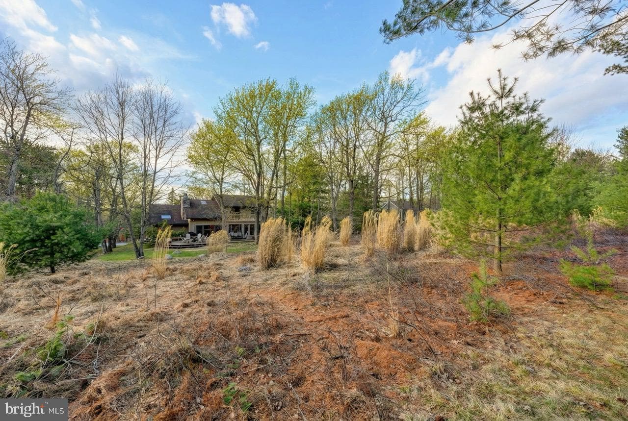 96 Wolf Road photo 88