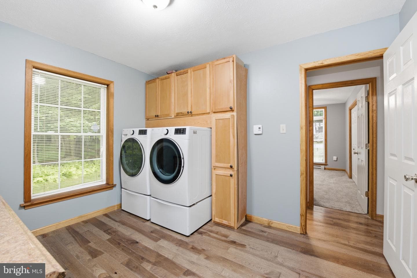 12 Sidney Mews photo 25