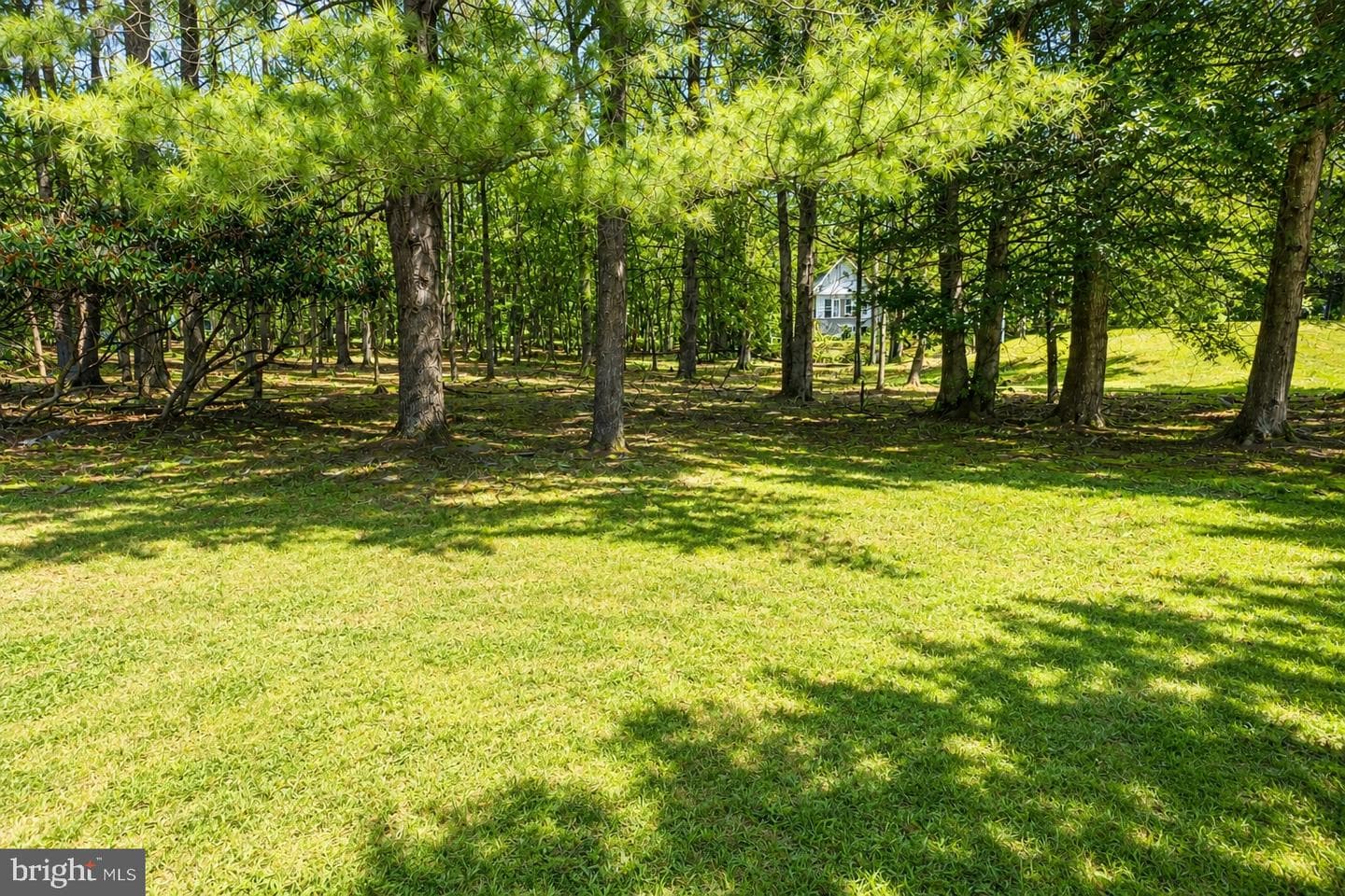 105 White Oak Drive photo 36